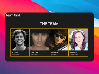 Brutalist Team Grid - Team component preview